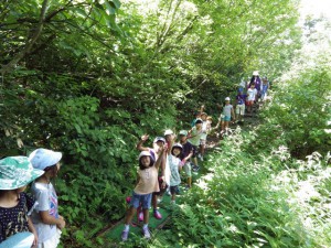 forest0822
